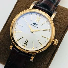 Picture of IWC Watch _SKU1675849412771530